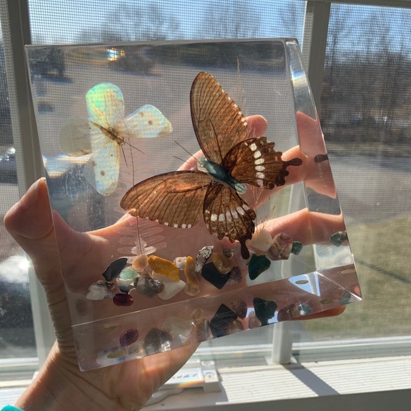 Vintage Lucite Pressed Butterfly Decor - Picture 9 of 11